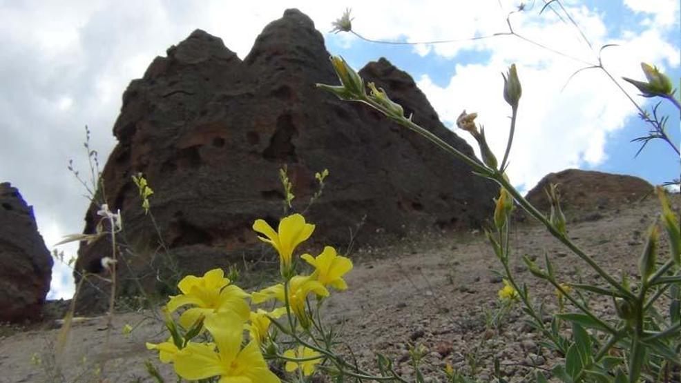 Sarıkamıştaki peri bacaları turizme kazandırılmayı bekliyor Fotoğrafçılardan yoğun ilgi var