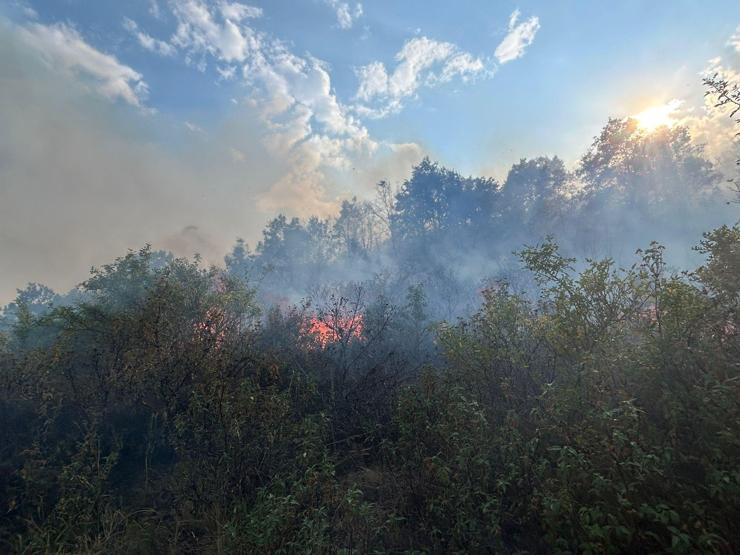 Afyonkarahisar’da dağlık alanda çıkan yangın söndürüldü