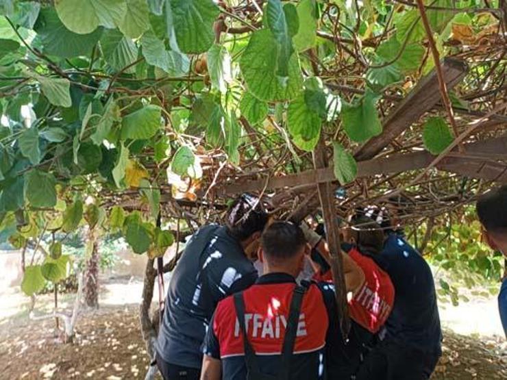 Bunun adı mucize 5. kattan düştü, burnu bile kanamadı