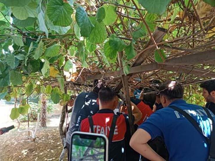 Bunun adı mucize 5. kattan düştü, burnu bile kanamadı