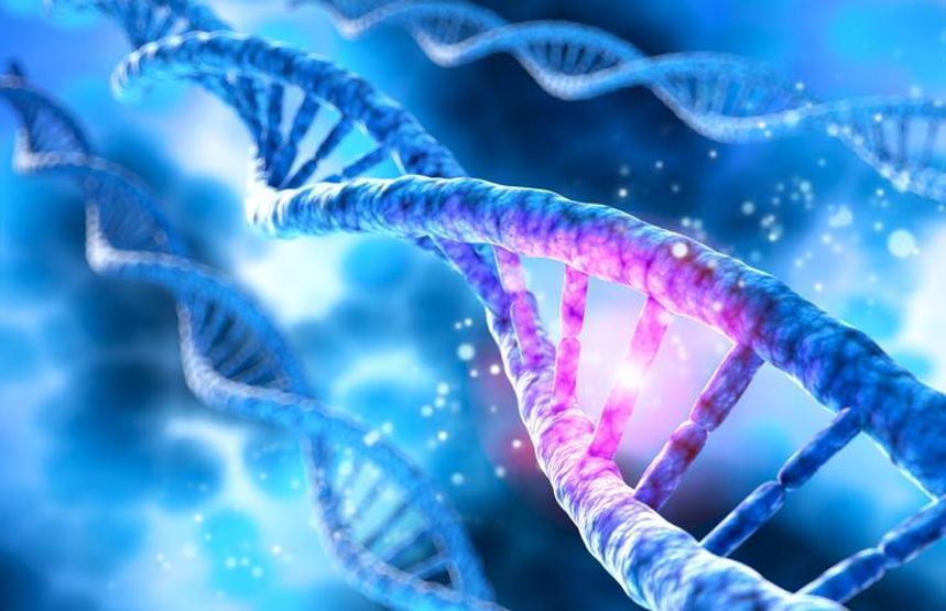 Kromozom Nedir Kromozomların Yapısı, İşlevi Ve Genetik Hastalıklar