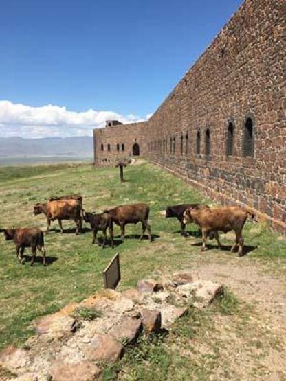 Tarihe tanıklık etmişti: Ahıra döndü