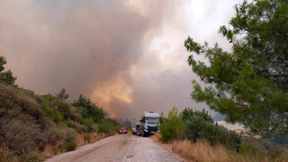 Son dakika haberi: Antalyada orman yangını