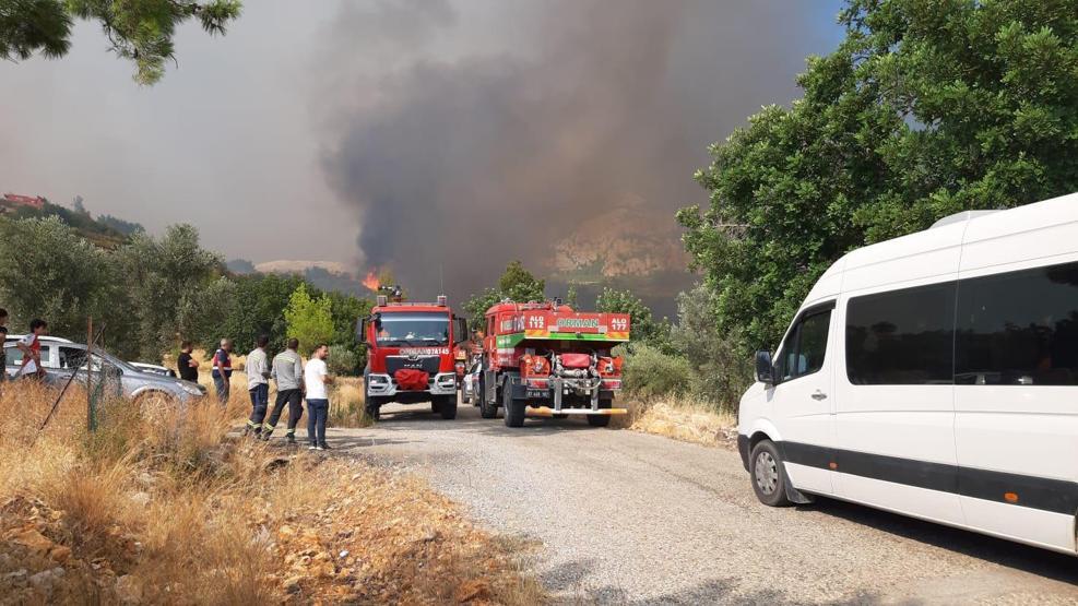 Son dakika haberi: Antalyada orman yangını