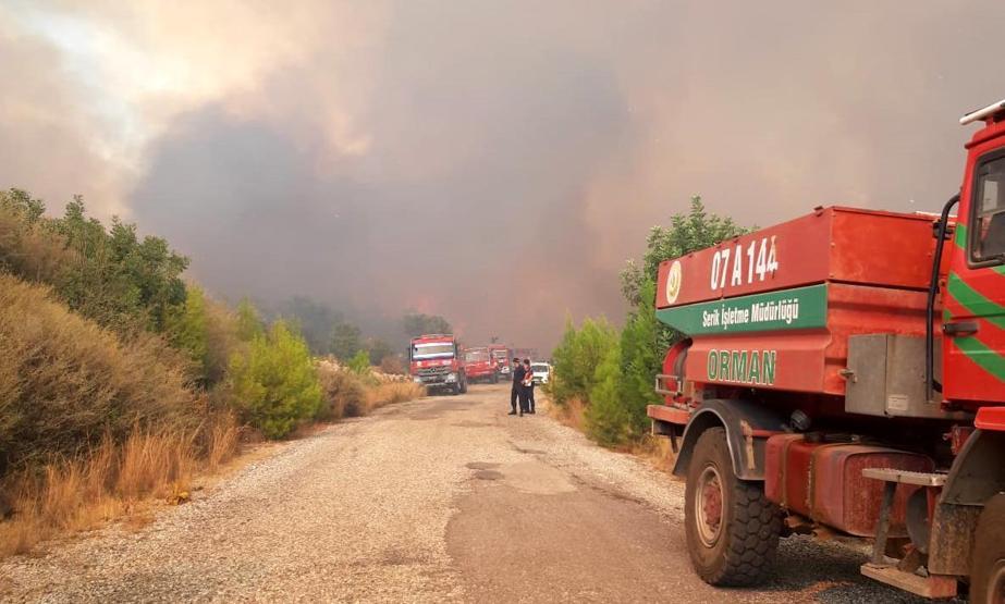 Son dakika haberi: Antalyada orman yangını