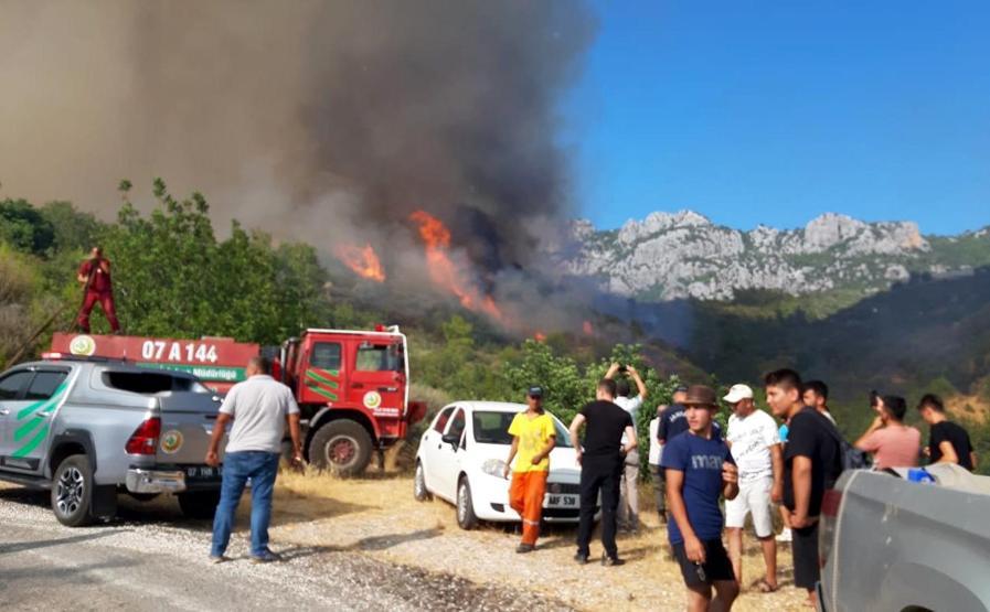 Son dakika haberi: Antalyada orman yangını