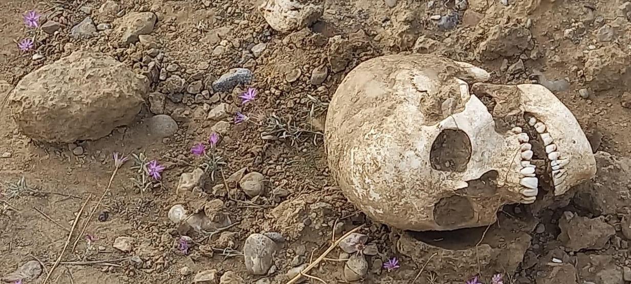 Yol ortasında insan kafatası bulundu