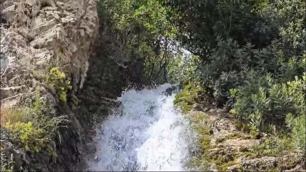 Zoveser doğasıyla ziyaretçilerini hayran bırakıyor