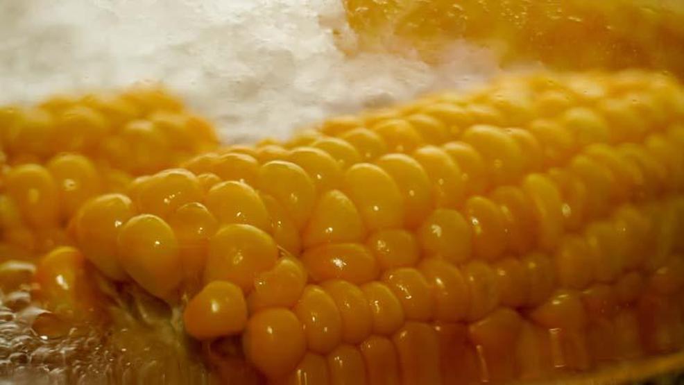 Mısırın faydaları saymakla bitmiyor Sindirimi kolaylaştırıyor, kalbi koruyor. Peki Mısır kaç kalori Nasıl tüketelim