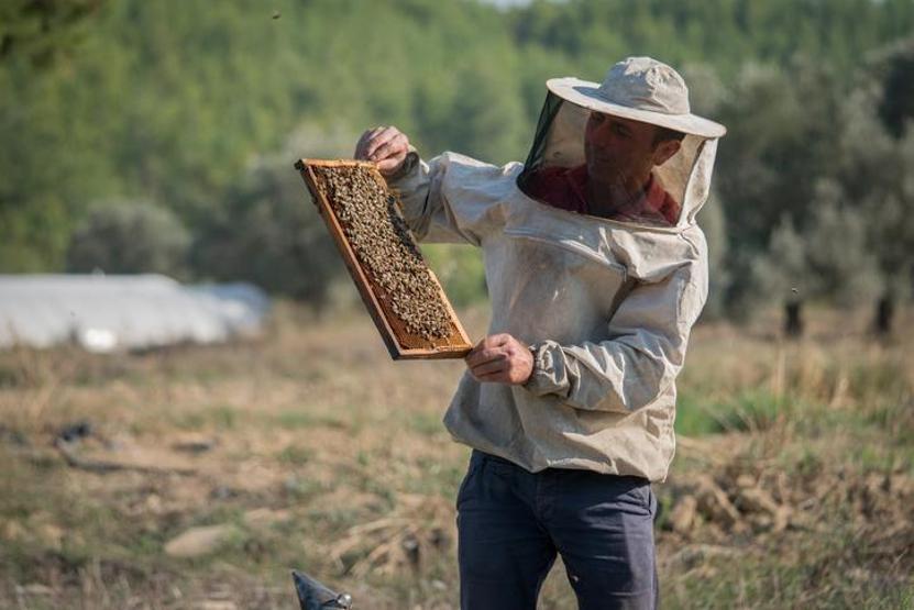 1 kilosu 30.000 TLye satılıyor Faydaları saymakla bitmiyor: Cildin yaşlanmasını geciktiriyor, sivilceleri kökünden kurutuyor