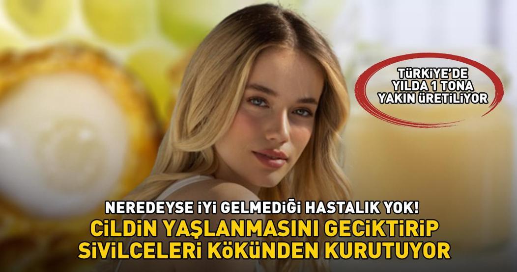 1 kilosu 30.000 TLye satılıyor Faydaları saymakla bitmiyor: Cildin yaşlanmasını geciktiriyor, sivilceleri kökünden kurutuyor
