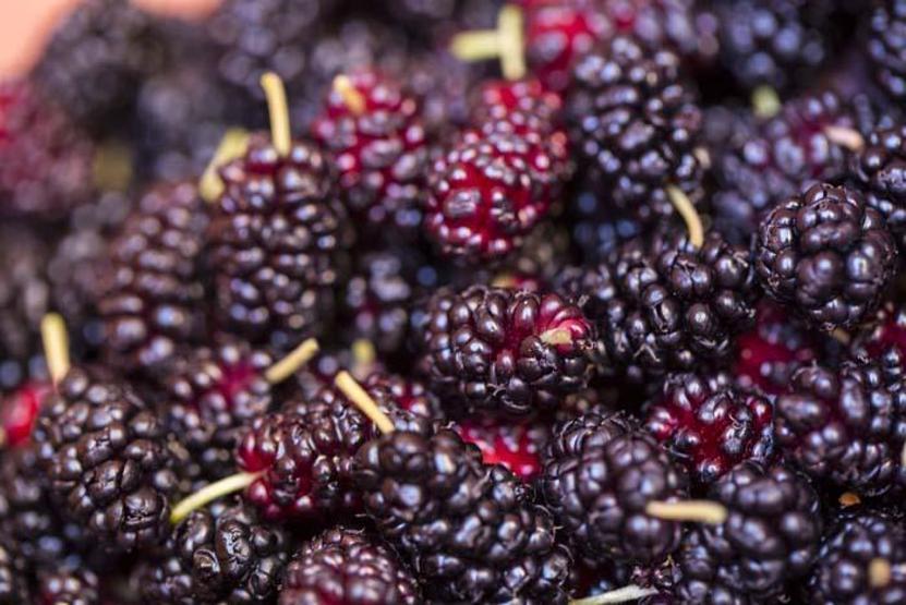 Kalp tıkanıklığına birebir Kan yapıcı özelliği var... Faydaları saymakla bitmeyen lezzet