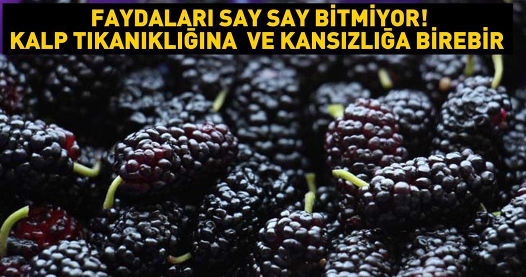 Kalp tıkanıklığına birebir Kan yapıcı özelliği var... Faydaları saymakla bitmeyen lezzet
