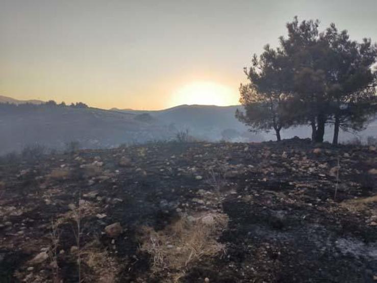 Hatay’daki orman yangını 15 saat sonra kontrol altında