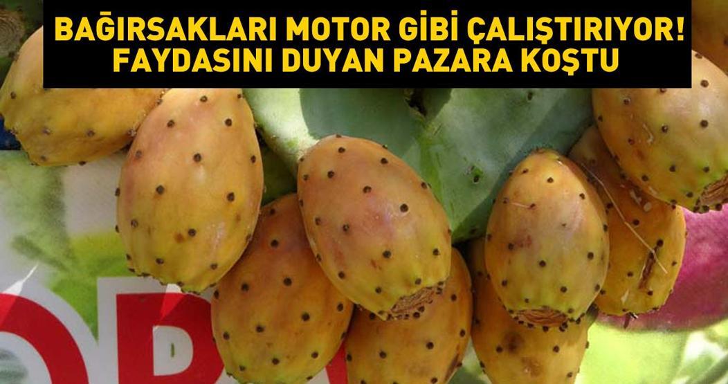 Bağırsakları motor gibi çalıştırıyor... Kansere ve akciğere faydalı Şifa kaynağı olarak biliniyor: Tanesi 10 lira, günde 500-1000 adet satılıyor