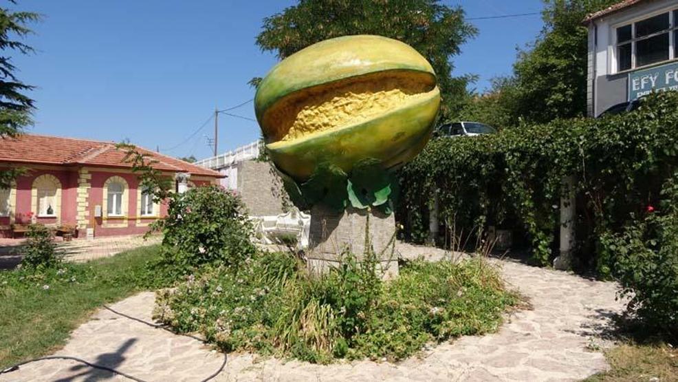 Şekli kavuna benziyor, yiyen muz tadı alıyor Değişik aroması ve kokusuyla çok beğeniliyor... İlçenin geçim kaynağı oldu