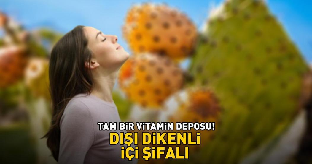 Tam bir vitamin deposu Bağışıklık sistemini güçlendirip vücut direncini artırıyor Dışı dikenli, içi şifalı