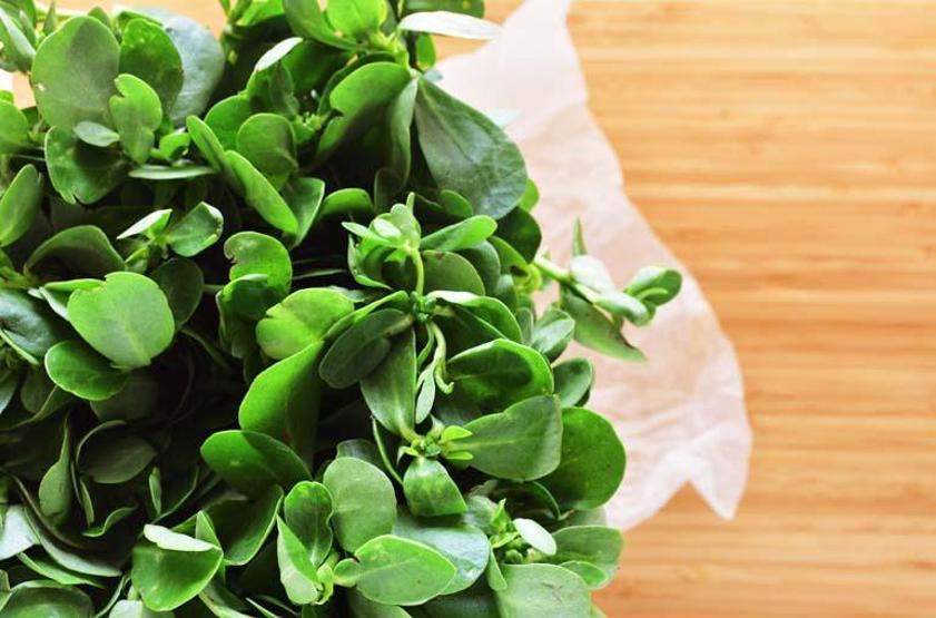 Haqiqiy bolmagan ulkan selülit bilan qoplangan ayollarning pornosi Olga Belova, teleboshlovchi, yalangoch