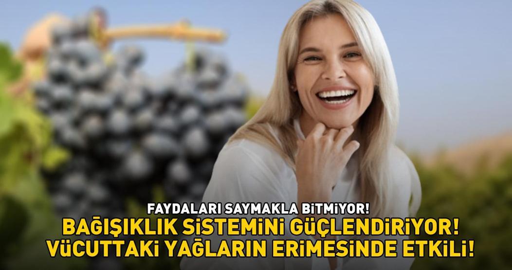 Kilosu tarlada 50, pazarda 120 TL Bağışıklık sistemini güçlendiriyor Vücuttaki yağların erimesinde etkili