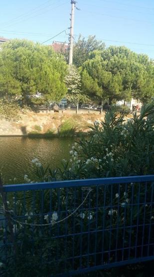 HAFTA SONU TATİLCİLERİNİN GÖZDESİ İstanbulun yanı başındaki tatil cenneti Marmara’nın incisi