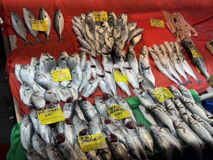 Son dakika haberi: Balık sezonu açıldı: Tezgahlar doldu taştı