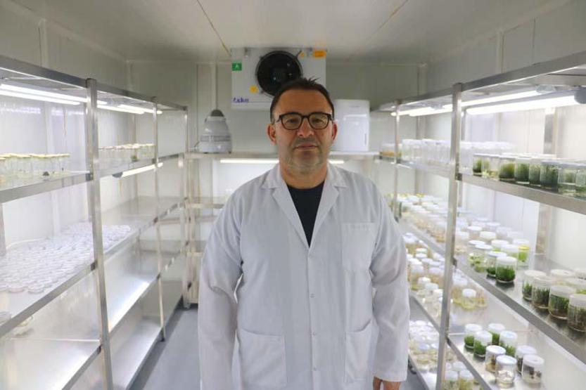 Aman dikkat Sonuçları çok ağır olabiliyor... Bu iki otu karıştıran soluğu hastanede alıyor