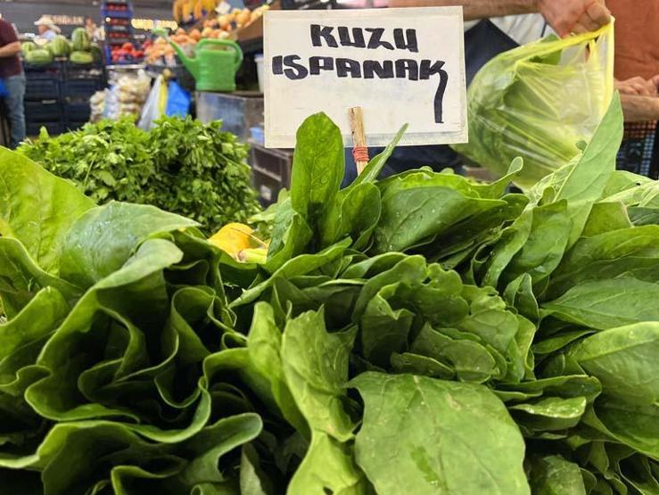 Aman dikkat Sonuçları çok ağır olabiliyor... Bu iki otu karıştıran soluğu hastanede alıyor