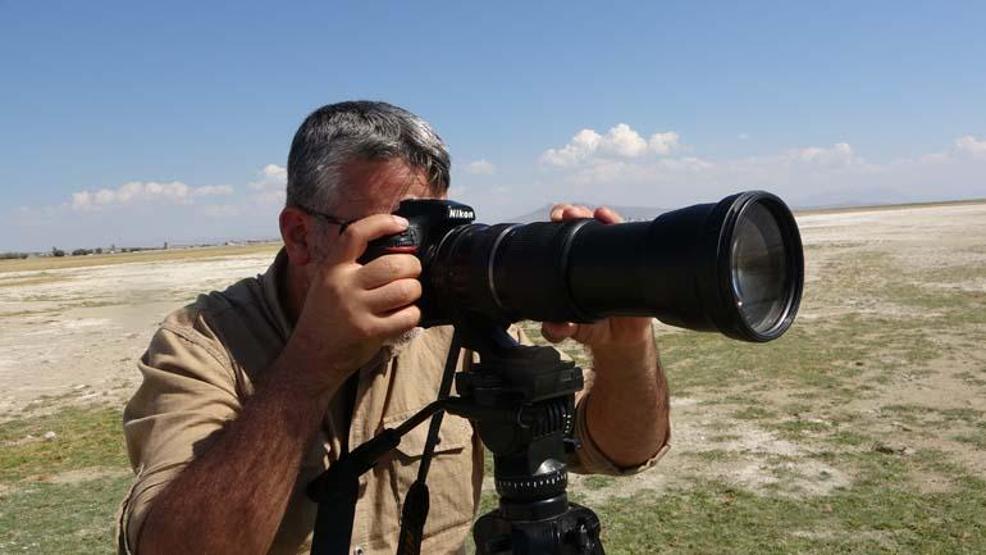 Arin Gölü flamingolarla şenlendi