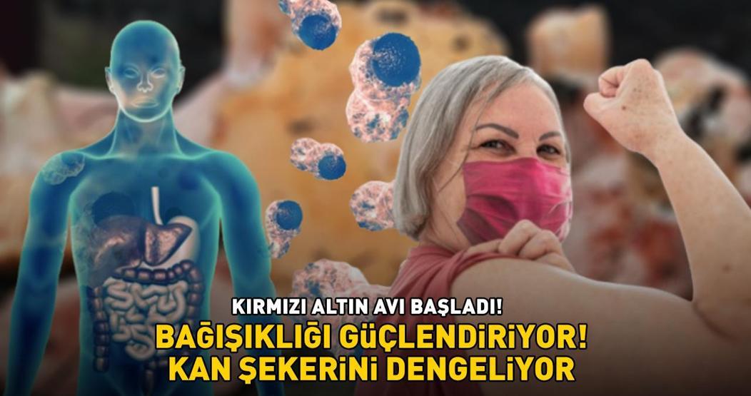 KIRMIZI ALTIN AVI BAŞLADI Kilosu 200 TL Bağışıklığı güçlendiriyor, kan şekerini dengeliyor