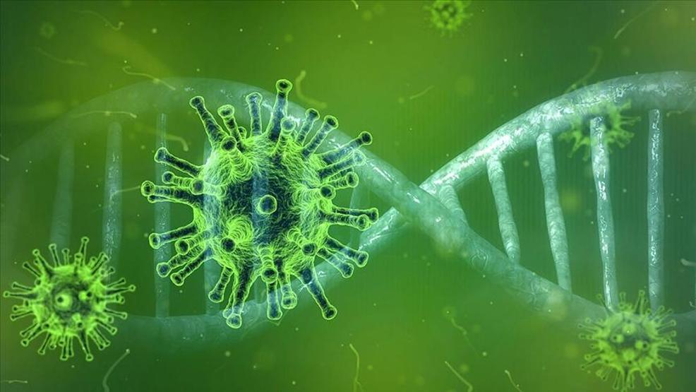 Bilim dünyasında çığır açacak yenilik Yapay zeka ile binlerce yeni virüs keşfedildi