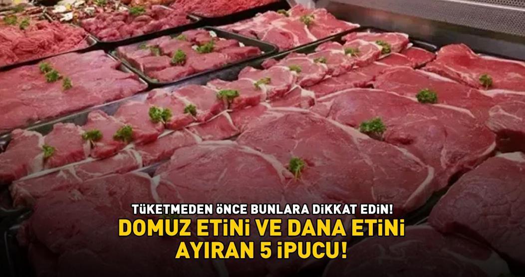 KÖFTECİ YUSUFTA DOMUZ ETİ SKANDALI Bu detaylar ele veriyor: Domuz eti ve dana etini ayıran 5 ipucu