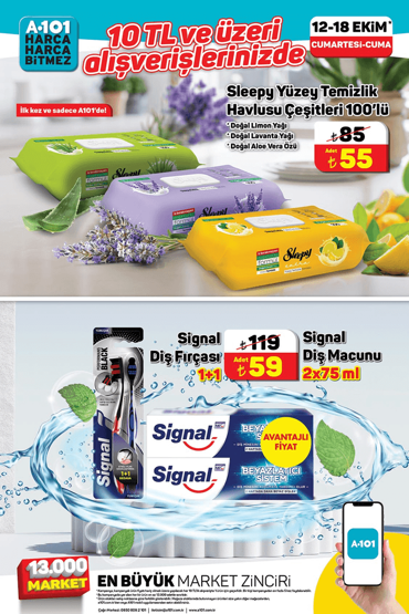 A101 13-18 Ekim 2024 Aktüel Ürünler Kataloğu İndirimleri