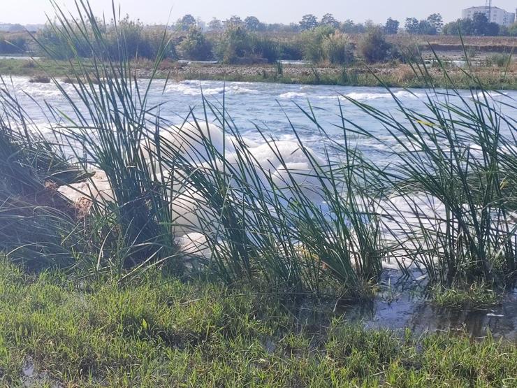 Dicle Nehrindeki ‘Beyaz köpük’ için inceleme