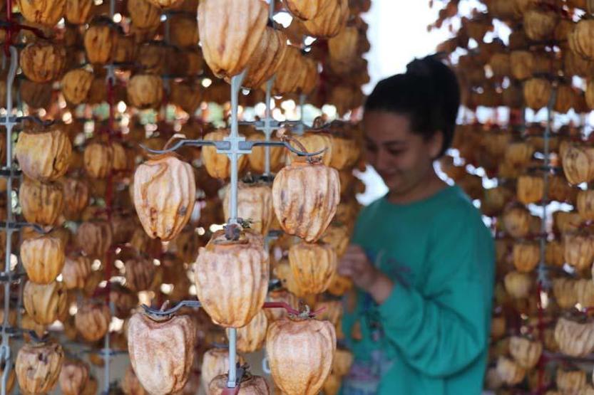 ADETA DOĞAL İLAÇ İçinde A, C ve B vitaminleri, potasyum, manganez var. Yaşı da kurusu da kapış kapış tüketiliyor... Verimi yüzde 40 arttı