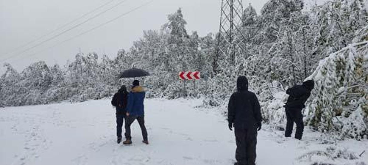 Uyarılar peş peşe yapılmıştı Beyaz kabus