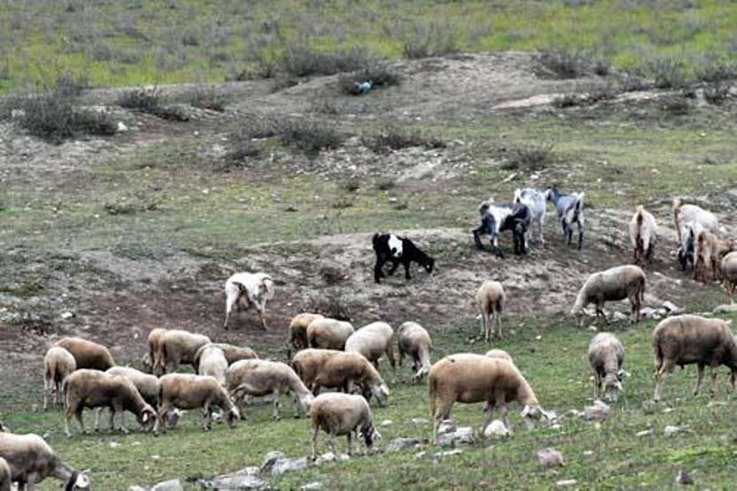 Barajlardaki doluluk oranı yüzde 30a düştü; İstanbulun 85 günlük suyu kaldı