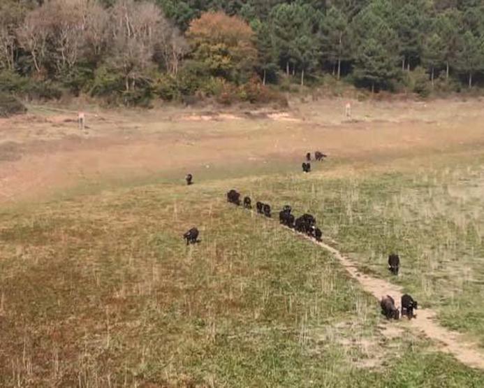 Barajlardaki doluluk oranı yüzde 30a düştü; İstanbulun 85 günlük suyu kaldı
