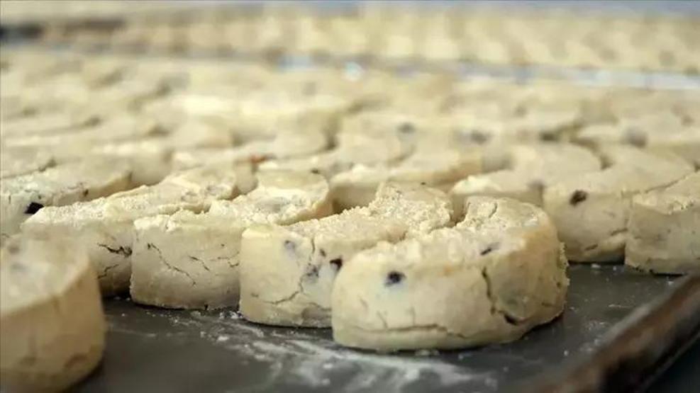 Kayseriden Gaziantepe Türkiyenin Lezzet Rotaları... Bu Lezzetler Damak Çatlatıyor: Baklava, Urfa kebabı, Mantı, Çiğ köfte daha neler neler...