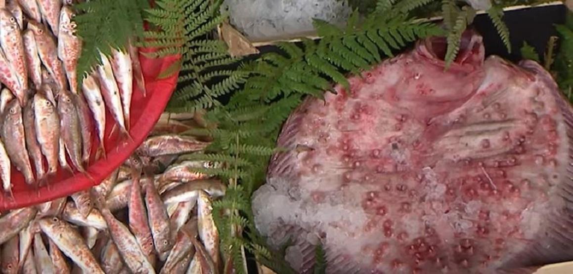 MASTERCHEF YARIŞMACILARINDAN LEZZETLİ BALIK YEMEĞİ Yiyeni kalkan gibi koruyor, vitamin deposu: Kalkan balığı tarifi ve püf noktaları