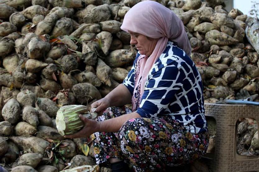 15 saat kaynatılıyor, kor ateşte bekletiliyor Yapımı zahmetli tadı damak çatlatıyor Havası pekmez kokan köyde ocaklar yandı Litresi 150 TL. Pancar Pekmezi...