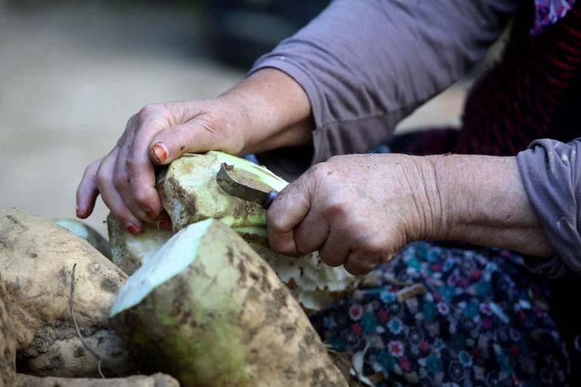15 saat kaynatılıyor, kor ateşte bekletiliyor Yapımı zahmetli tadı damak çatlatıyor Havası pekmez kokan köyde ocaklar yandı Litresi 150 TL. Pancar Pekmezi...