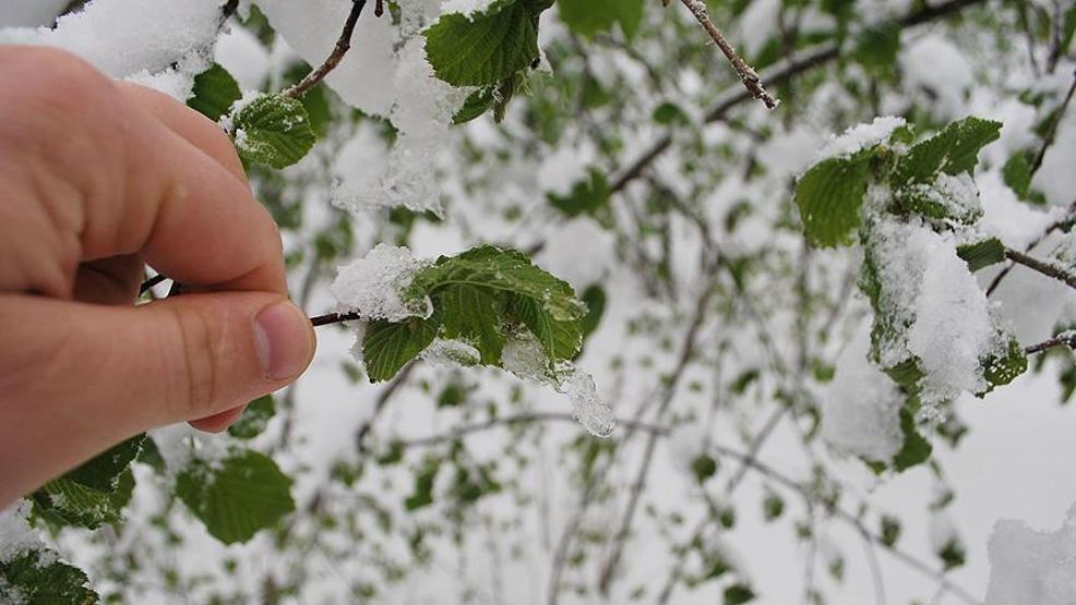 SON DAKİKA HABERİ: Meteoroloji il il uyardı: Buzlanma ve don geliyor