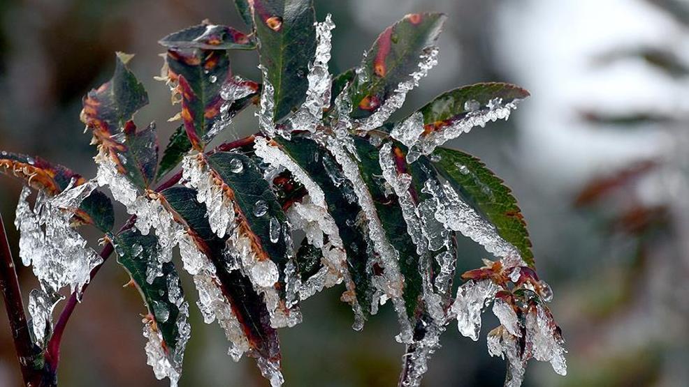 SON DAKİKA HABERİ: Meteoroloji il il uyardı: Buzlanma ve don geliyor