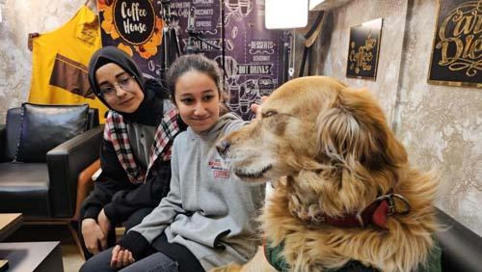 Her şey 6 yıl önce başladı Herkesin sevgilisi oldu: Fındık için şehri ayağa kaldırıyoruz