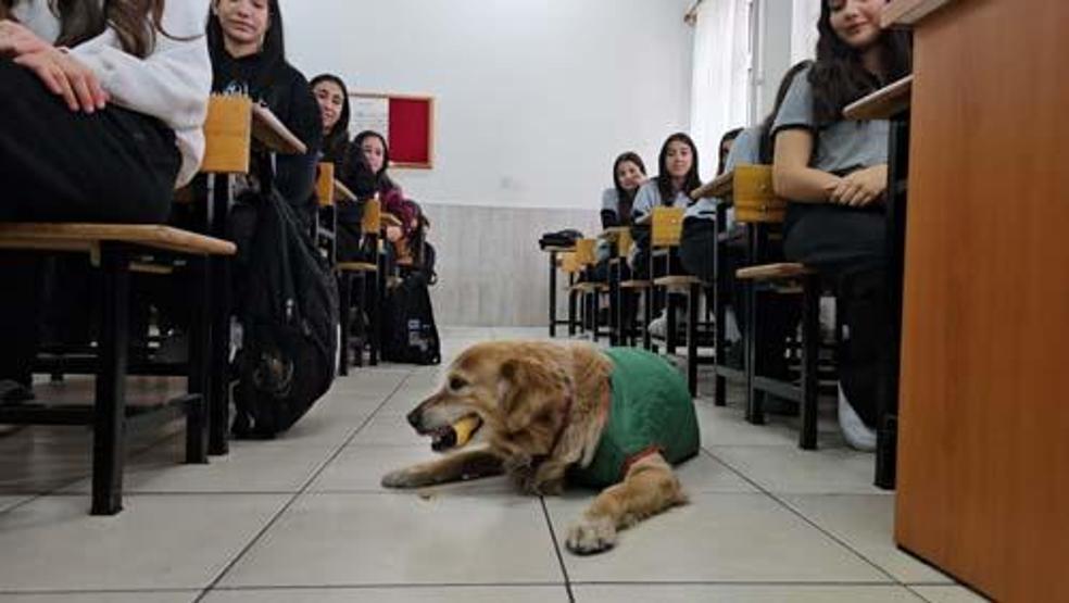 Her şey 6 yıl önce başladı Herkesin sevgilisi oldu: Fındık için şehri ayağa kaldırıyoruz