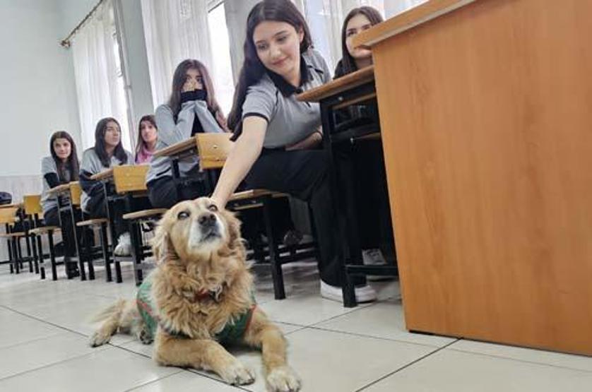 Her şey 6 yıl önce başladı Herkesin sevgilisi oldu: Fındık için şehri ayağa kaldırıyoruz