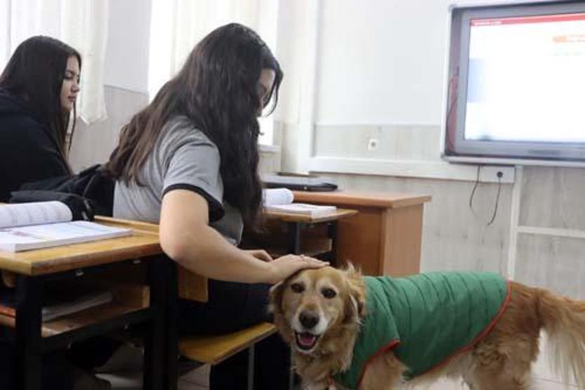 Her şey 6 yıl önce başladı Herkesin sevgilisi oldu: Fındık için şehri ayağa kaldırıyoruz