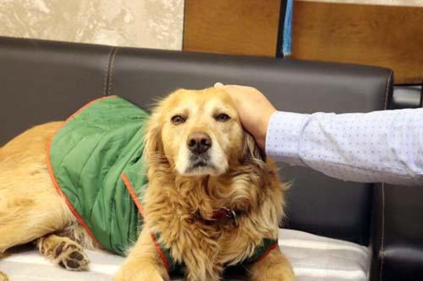 Her şey 6 yıl önce başladı Herkesin sevgilisi oldu: Fındık için şehri ayağa kaldırıyoruz