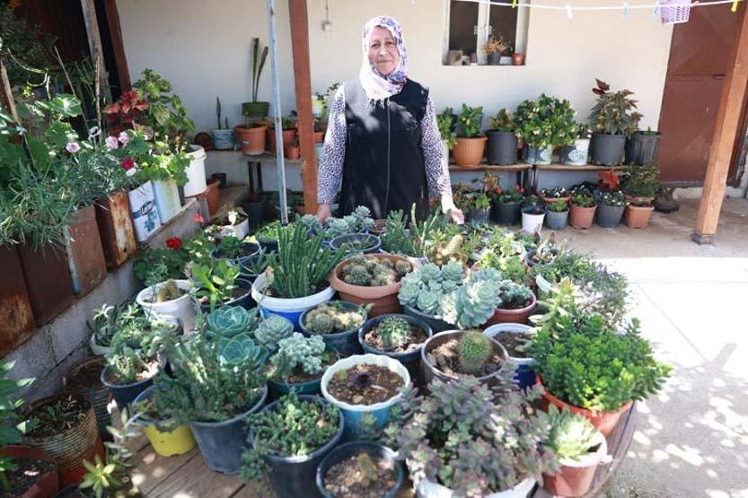 Evinin her tarafına ekti 500e yakın çeşidi var Gören hayran kalıyor... Eğer satış yapsaydım çok kazanırdım