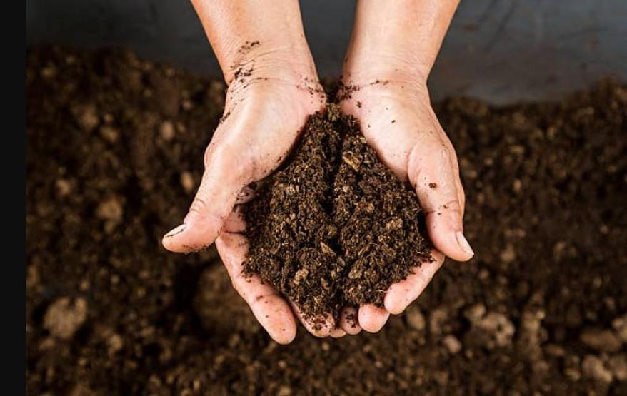 Çinli bilim insanları keşfetti Kanserin çaresi toprakta mı